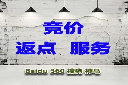 百度竞价代运营公司成功案例：从零到一的营销奇迹